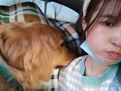 -天津东丽湖风景区