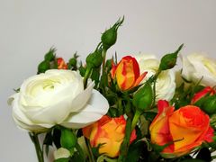 -秦美花卉(天朗·莱茵小城2期店)