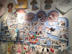 -汪说·狗咖·拼豆·宠物周边DIY(旺城大厦店)