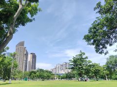-万绿园