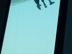 -澳门旅游塔360°旋转餐厅(南湾湖广场店)