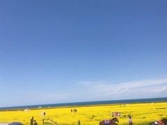 -青海湖国家重点风景名胜区