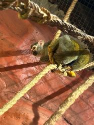 -Zoolung Zoolung动物主题公园(海信广场店)