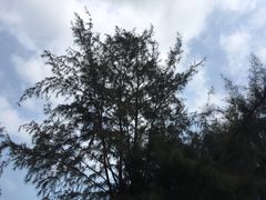 -白沙门生态公园