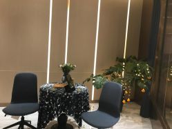 -苑苑vbeauty科技美容SPA