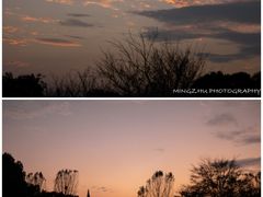 -花开海上生态园