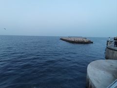 -大连海昌东方水城