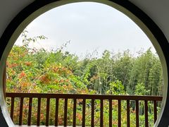 -广西壮族自治区药用植物园