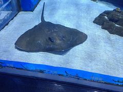 -顺德南宏海立方海洋公园