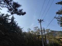 -金龙寺国家森林公园