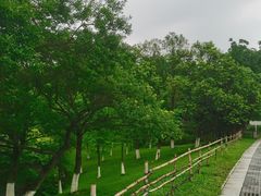 -东莞植物园