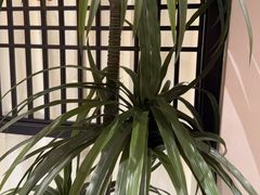 -二分八云雁阁•新晋菜大同味(长治路店)