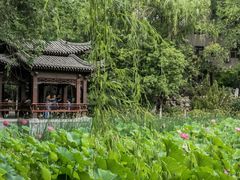 -莲湖公园