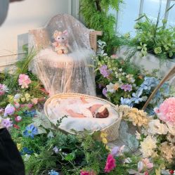 -小木马儿童摄影
