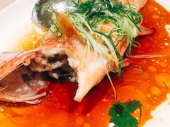 清蒸东星斑-陶陶居海鲜酒家(新马路店)