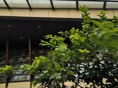 -途睿健身游泳俱乐部(顶峰店)