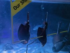 -沈阳海洋探索中心