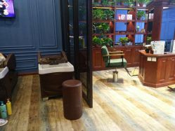 -东晨宝格丽品质造型