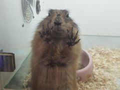 -凯德广场(武胜路店)