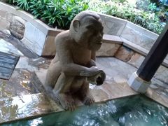 -厦门日月谷温泉渡假村