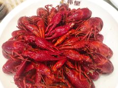 -虾皇(龙虾城旗舰店)