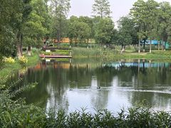 -东湖生态旅游风景区