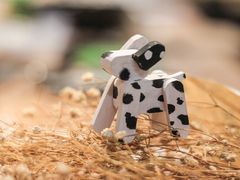 -五月木作·DIY木作文创体验店(北京路店)