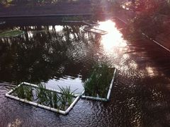 iphone_upload_pic-普陀山风景名胜区-法雨禅寺