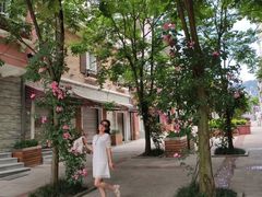 -四川省成都市彭州市白鹿镇