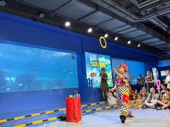 -重庆欢乐海底世界