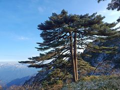 -黄山风景区