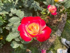 -人民公园(罗湖区)