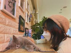 -平行世界·猫咖(首经贸店)
