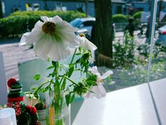-五进制 Coffee Shop