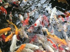 -聚福宝合苑食府(南头镇店)