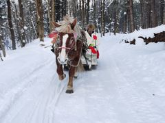 -雪谷