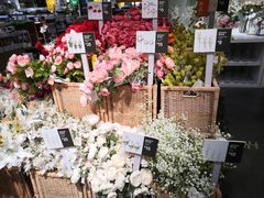 -宜家家居(哈尔滨商场店)