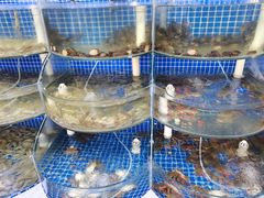 -戴见海蒸汽海鲜自助餐厅(刘庄店)