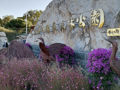 -北京西山国家森林公园