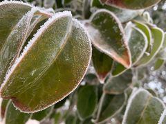 -华山御温泉度假村