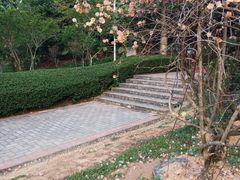 -大屏嶂森林公园