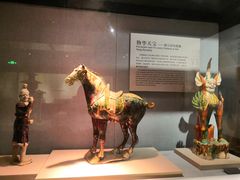 -惠丰源烩面馆(经七路店)