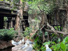 -长鹿旅游休博园