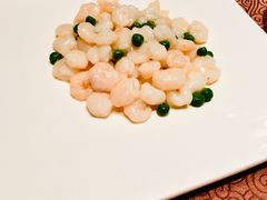 -东方明珠老上海8号餐厅(东方明珠广播电视塔店)