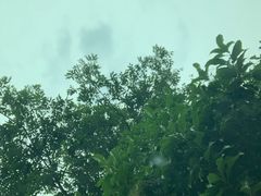 -鲨鱼皮汽车凹陷玻璃修复(静安店)