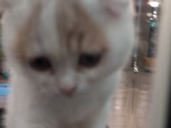 -宠物世家(仲盛世界商城店)