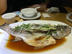 清蒸海鲈鱼-珍藏湘约(科技园店)