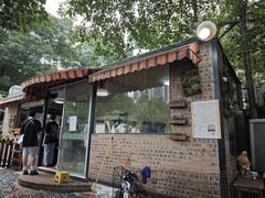 -柴犬高等学院·狗咖·柴犬售卖·宠物训练