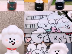 -Seesaw Coffee(上生新所店)