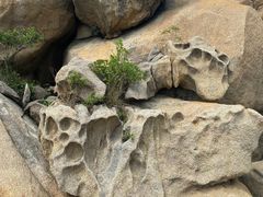 -那琴半岛地质海洋公园
